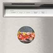 Herbstlaub sind Kunstmagnete mit farbenfrohen Herb Magnet (In Situ (Geschirrspüler))