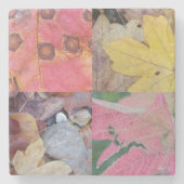 Herbstlaub Steinuntersetzer (Vorderseite)