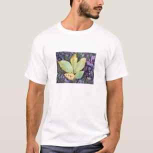 Herbstlaub T - Shirt