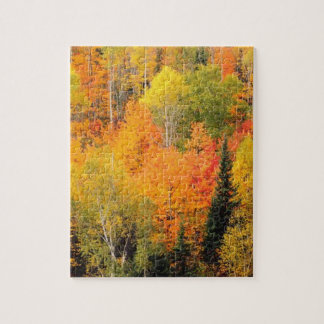 Herbstlaub Tal Herbstsaison Foto Puzzle