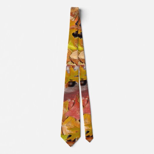Herbstlaub und Akkorne Krawatte (Vorderseite)