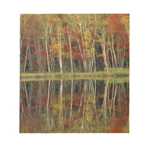 Herbstlaub und Birkenreflexionen; Hiawatha Notizblock