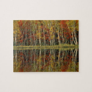 Herbstlaub und Birkenreflexionen; Hiawatha Puzzle
