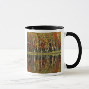 Herbstlaub und Birkenreflexionen; Hiawatha Tasse