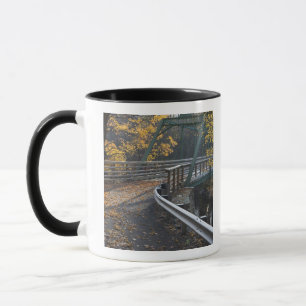 Herbstlaub und eine Brücke über den Millers Tasse