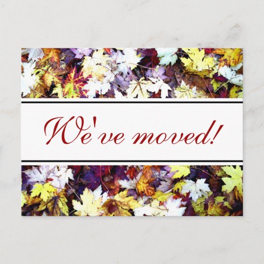 Herbstlaub verschieben Postkarten | Herbstszene (Vorderseite)