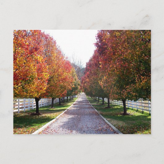 Herbstlaub von Virginia Post Card Glen Allen VA Postkarte (Vorderseite)