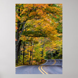 Herbstlaubdach entlang der Highway 41 Poster