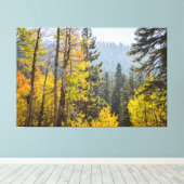 Herbstlaube am Lake Tahoe Stretched Canvas Print Leinwanddruck (Insitu (Holzboden))