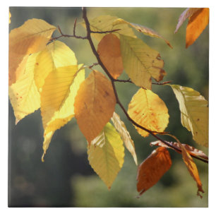 Herbstlaube Foliage Keramik Tile Fliese