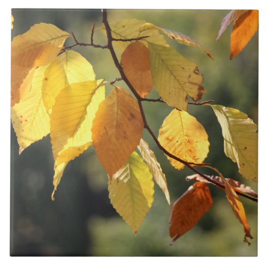Herbstlaube Folien Keramik Tile Fliese (Vorderseite)