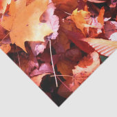 Herbstlaube für den Waldboden - Papiertücher Seidenpapier (Detail)