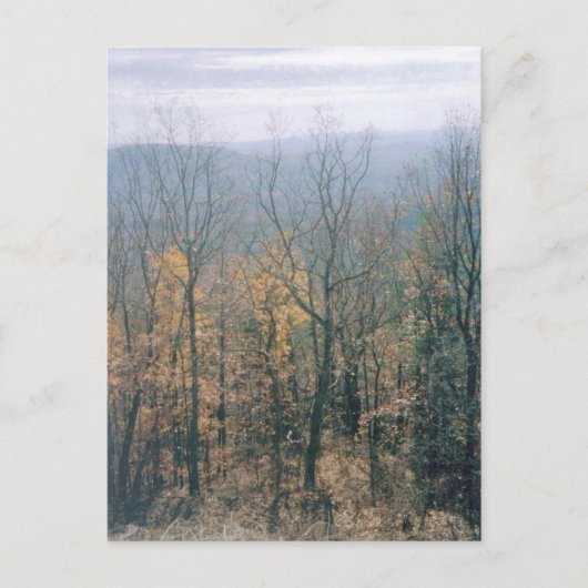 Herbstlaube - Georgien Postkarte (Vorderseite)