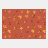 Herbstlaube im Herbst Muster mit 3 farbigem Hinter Geschenkpapier Set (Vorderseite 3)