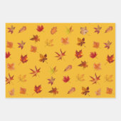 Herbstlaube im Herbst Muster mit 3 farbigem Hinter Geschenkpapier Set (Vorderseite 2)