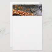 Herbstlaube im Wasserfall I Herbstfotografie Briefpapier (Vorne/Hinten)