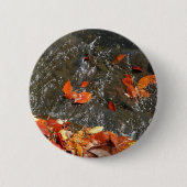 Herbstlaube im Wasserfall I Herbstfotografie Button (Vorderseite)