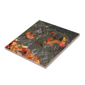 Herbstlaube im Wasserfall I Herbstfotografie Fliese (Seite)