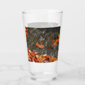 Herbstlaube im Wasserfall I Herbstfotografie Glas (Vorderseite)