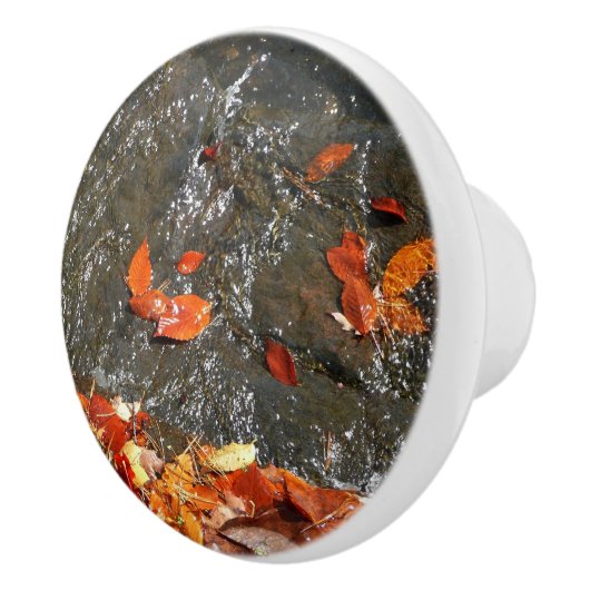 Herbstlaube im Wasserfall I Herbstfotografie Keramikknauf (Rechts)