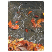 Herbstlaube im Wasserfall I Herbstfotografie Klemmbrett (Rückseite)
