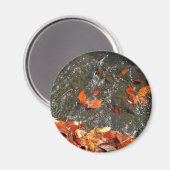 Herbstlaube im Wasserfall I Herbstfotografie Magnet (Vorderseite/Rückseite)