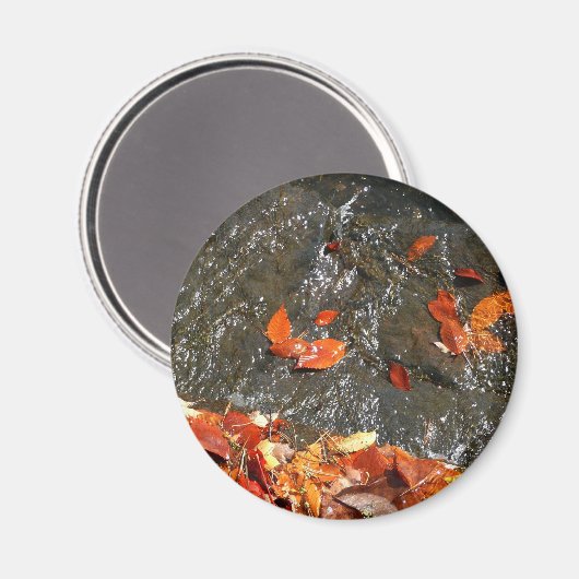 Herbstlaube im Wasserfall I Herbstfotografie Magnet (Vorderseite/Rückseite)