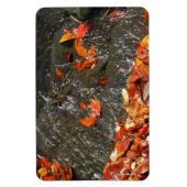 Herbstlaube im Wasserfall I Herbstfotografie Magnet (Vertikal)
