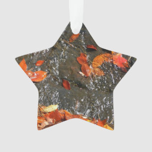 Herbstlaube im Wasserfall I Herbstfotografie Ornament