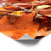 Herbstlaube im Wasserfall I Herbstfotografie Poster (Ecke)