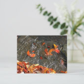 Herbstlaube im Wasserfall I Herbstfotografie Postkarte (Stehend Vorderseite)