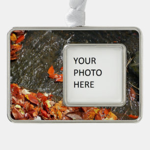 Herbstlaube im Wasserfall I Herbstfotografie Rahmen-Ornament Silber