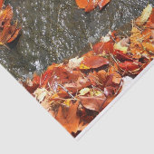 Herbstlaube im Wasserfall I Herbstfotografie Seidenpapier (Ausschnitt)