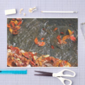 Herbstlaube im Wasserfall I Herbstfotografie Seidenpapier (Handwerk)
