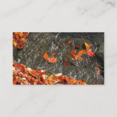 Herbstlaube im Wasserfall I Herbstfotografie Visitenkarte (Rückseite)