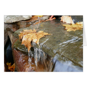 Herbstlaube im Wasserfall II Herbstfotografie