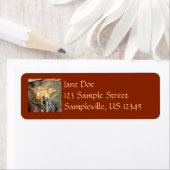 Herbstlaube im Wasserfall II Herbstfotografie (Insitu)