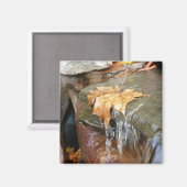 Herbstlaube im Wasserfall II Herbstfotografie Magnet (Vorderseite/Rückseite)