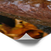 Herbstlaube im Wasserfall II Herbstfotografie Poster (Ecke)