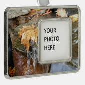 Herbstlaube im Wasserfall II Herbstfotografie Rahmen-Ornament Silber (Rechts)