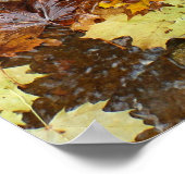 Herbstlaube im Wasserfall III Herbst Natur Poster (Ecke)