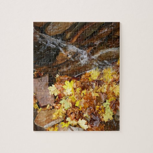 Herbstlaube im Wasserfall III Herbst Natur Puzzle (Vertikal)