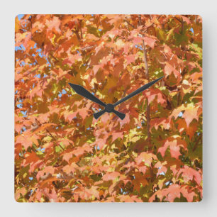 Herbstlaube in Baumlandschaft Quadratische Wanduhr