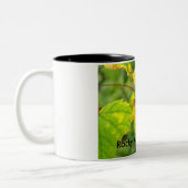 Herbstlaube in den Rockies 11oz Tasse (Links)