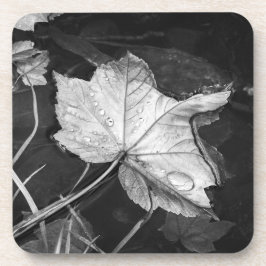 Herbstlaube in einem Teich in Schwarz und Weiß Getränkeuntersetzer