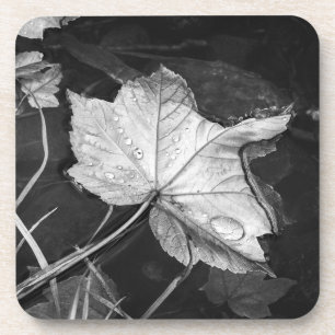 Herbstlaube in einem Teich in Schwarz und Weiß Getränkeuntersetzer