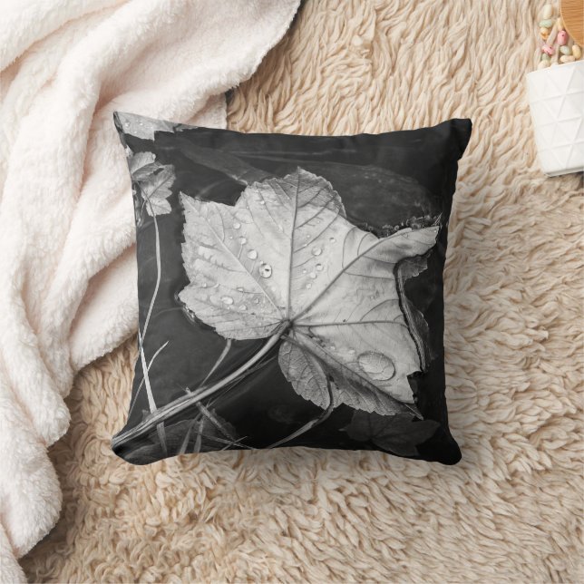 Herbstlaube in einem Teich mit schwarzer und weiße Kissen (Decke)