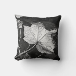 Herbstlaube in einem Teich mit schwarzer und weiße Kissen