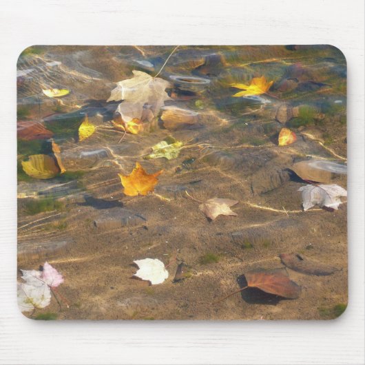 Herbstlaube in Pond Water Nature Fotografie Mousepad (Vorne)