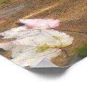 Herbstlaube in Pond Water Nature Fotografie Poster (Ecke)
